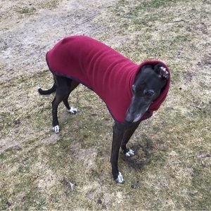 Thank you for my greyhound coat! 🐕